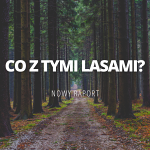 Co z tymi lasami?