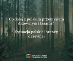 Co dalej z polskim przemysłem drzewnym i lasami?