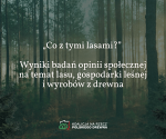 „Co z tymi lasami?”