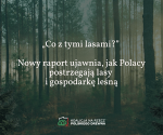 Jak Polacy postrzegają lasy i gospodarkę leśną?