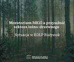 Moratorium MKiŚ a przyszłość sektora leśno-drzewnego