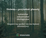 Dlaczego drewno może ocalić świat