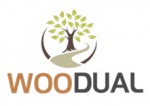 Newsletter Projektu Woodual