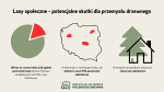 Lasy w Polsce są społeczne od zawsze